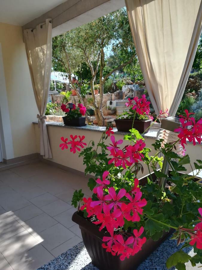 Apartments Olea Pinezići Extérieur photo